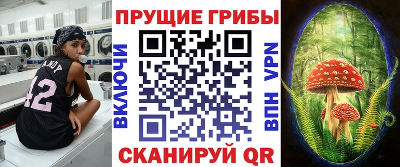 Псилоцибиновые грибы мицелий  Светогорск 